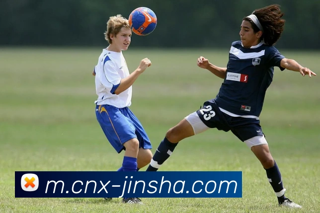 澳门金沙官网APP 封面图